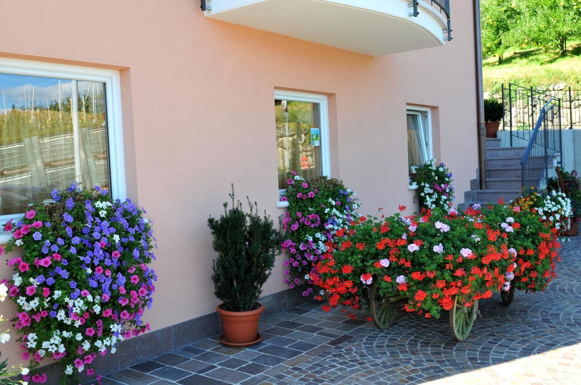 Agritur Le Pergolette Villa Tassullo Bagian luar foto