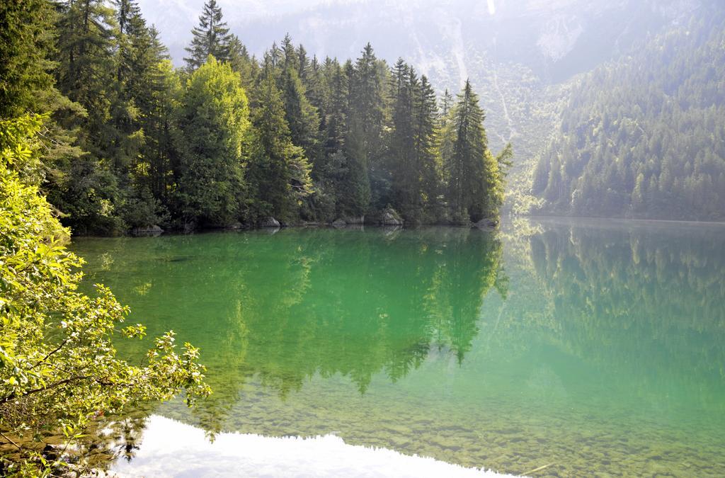 Agritur Le Pergolette Villa Tassullo Bagian luar foto